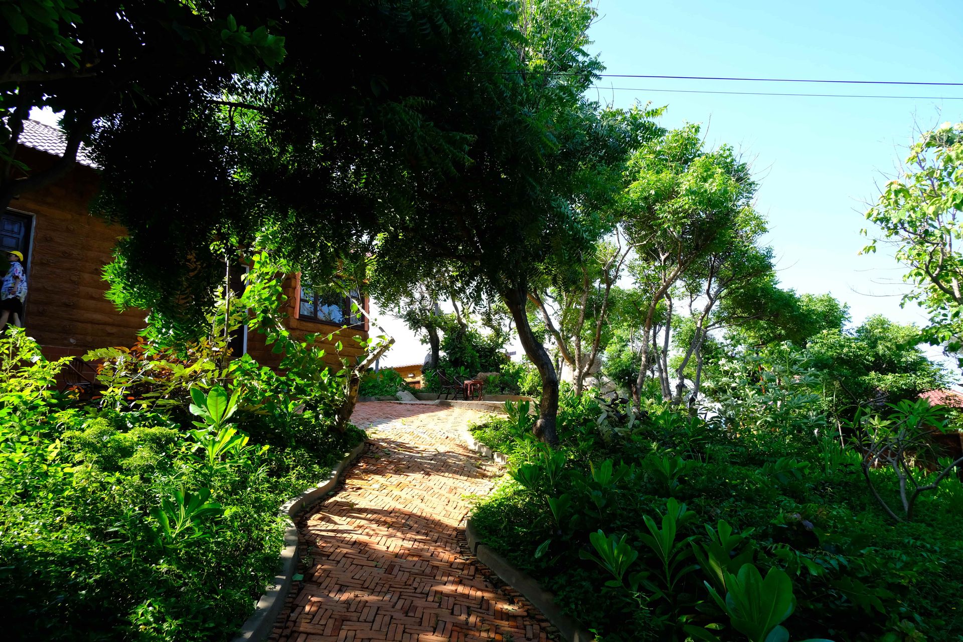 Khuôn viên xanh mát của phòng Deluxe Garden View Khuôn viên xanh mát của phòng Deluxe Garden View