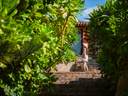 AdoraBay resort ground 7 2.webp